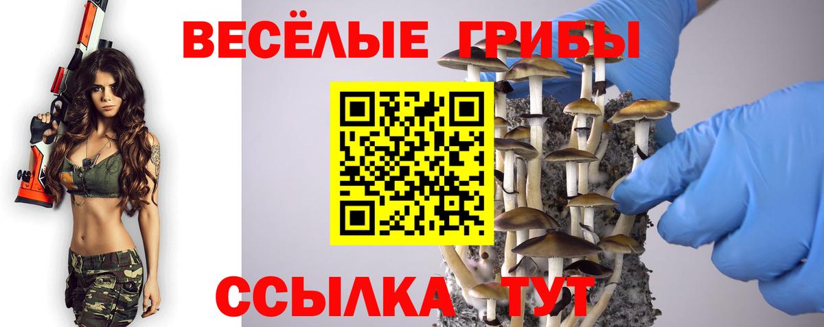 Туапсе  Псилоцибиновые грибы Psilocybe  Вход с VPN  Галлюциногенные грибы Psilocybine cubensis 